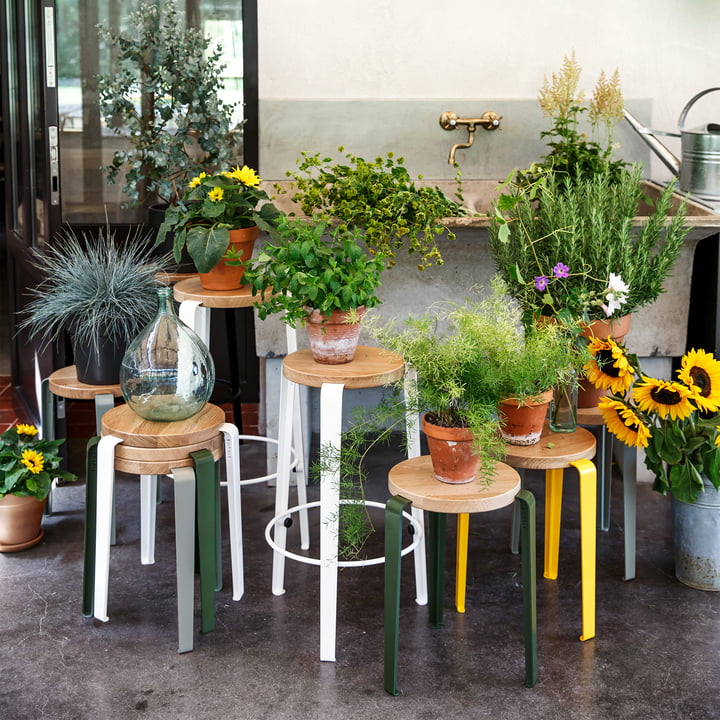 LOU Tabouret et Lou Tabouret de bar de TipToe comme support pour présenter des fleurs et des plantes