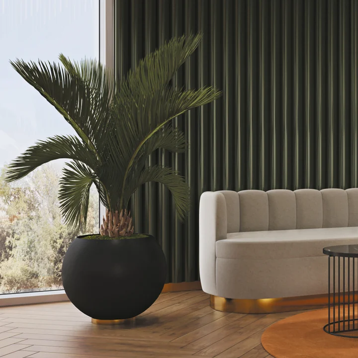 Le pot de fleurs Globe de AYTM avec un palmier d'intérieur à côté d'un canapé clair