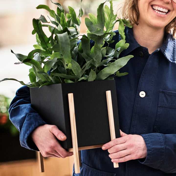 Le site Botanic Pot de Design House Stockholm est bien gérable.