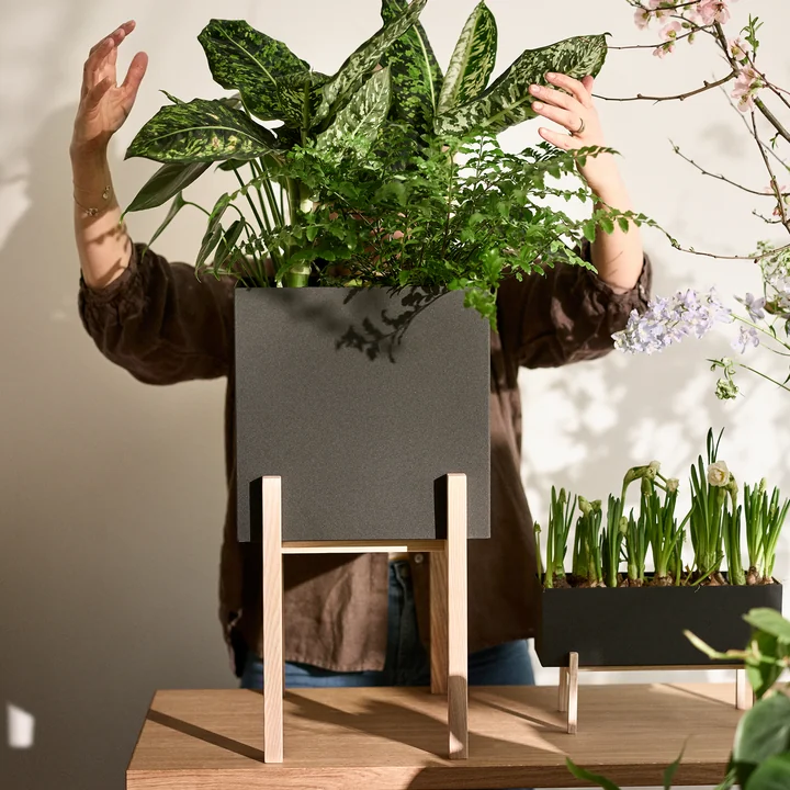 Le site Botanic Pedestal Pot de Design House Stockholm permet de garder les choses en ordre.
