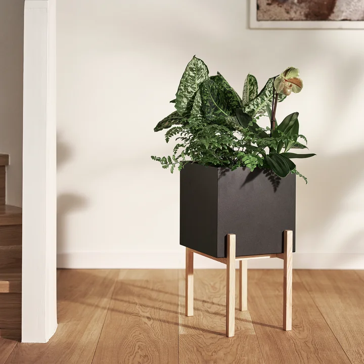 Le contraste élevé Botanic Pedestal Pot de Design House Stockholm
