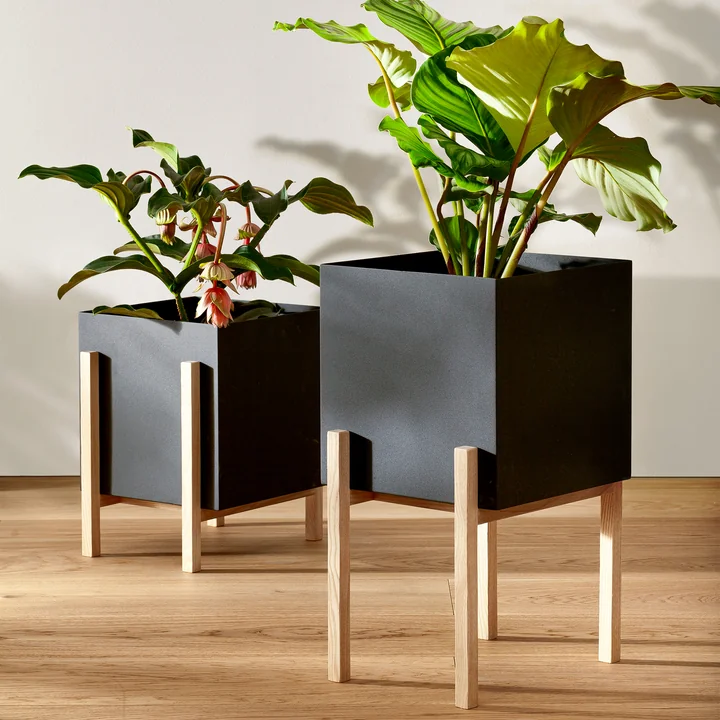 Le site Botanic Pedestal Pot de Design House Stockholm apporte de la verdure dans la maison.