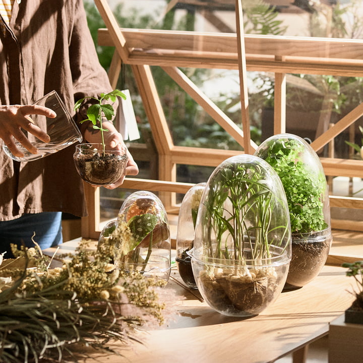 Le site Grow Greenhouse par Caroline Wetterling pour Design House Stockholm