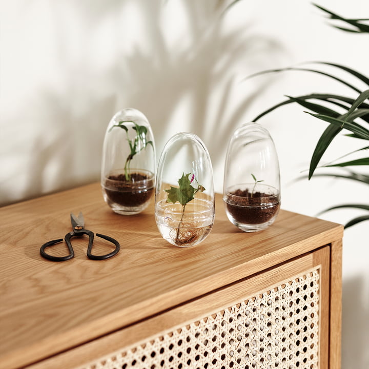 Le site Grow Serre de Design House Stockholm en tant qu'objet décoratif sur le buffet