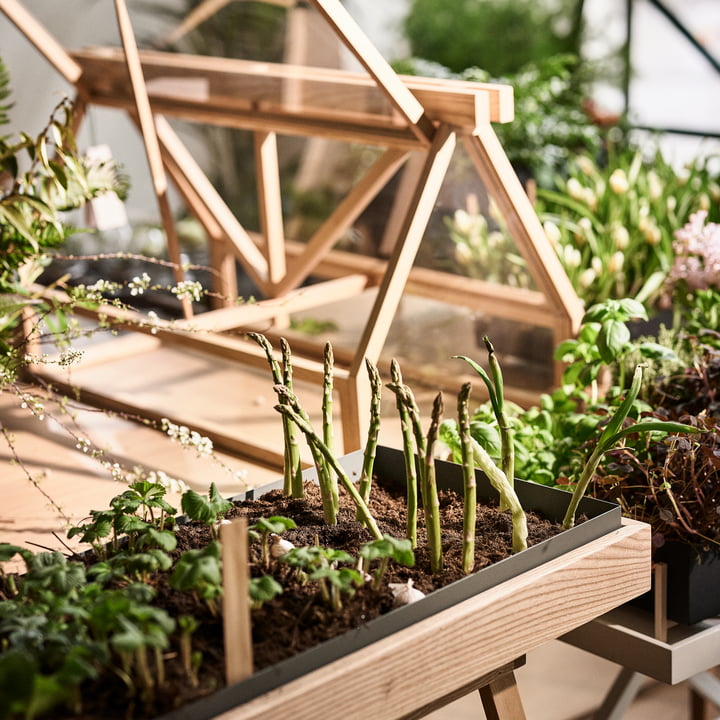 Le site Greenhouse de Design House Stockholm donne de l'espace à la nature