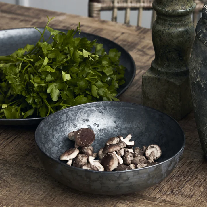 Pion Bowl de House Doctor