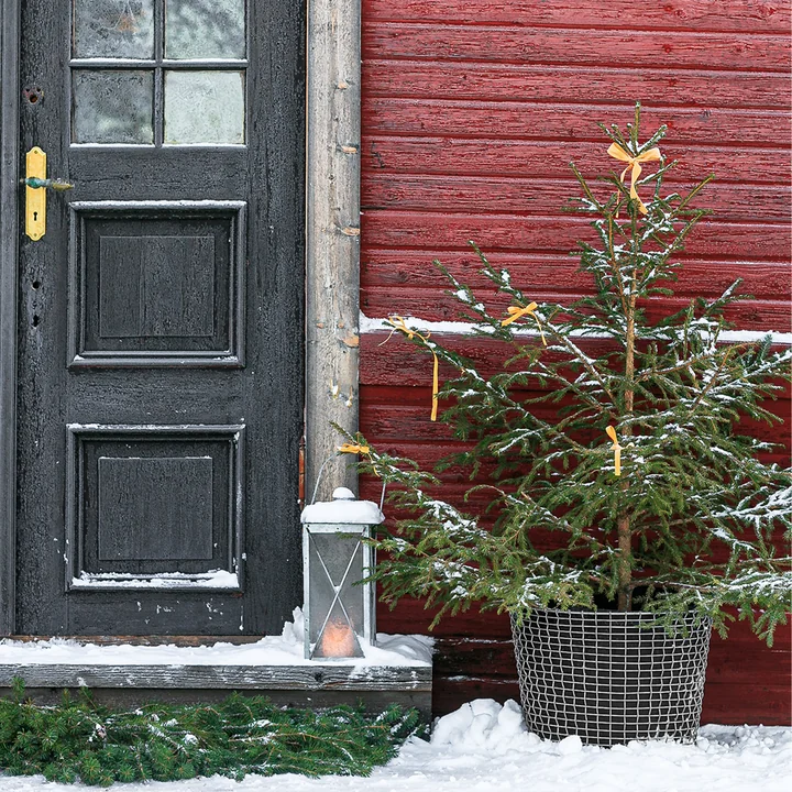 Classic 50 - Panier de Korbo