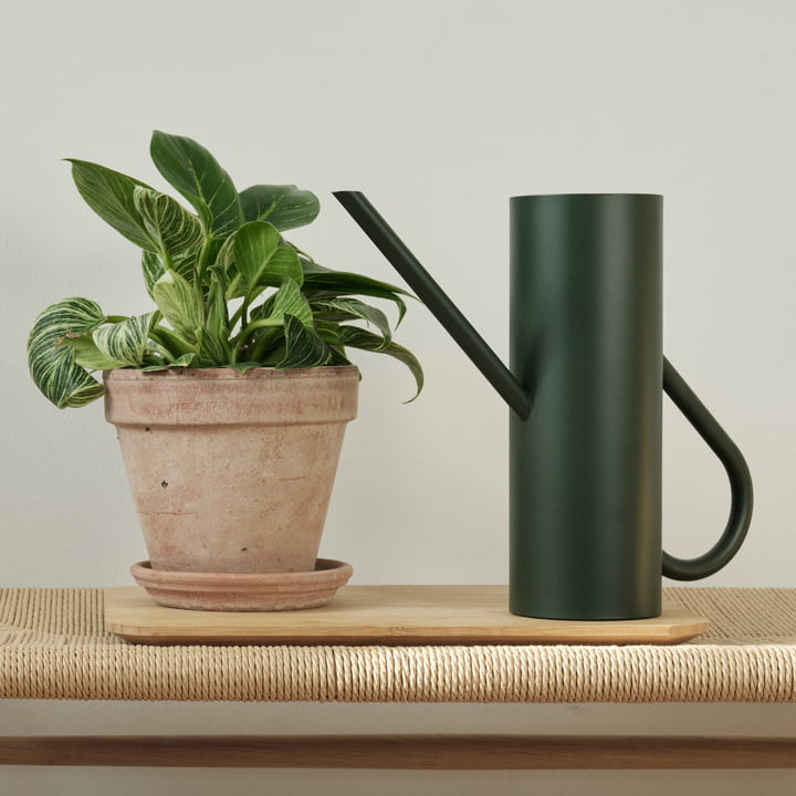 Bloom Arrosoir 2 l dans pine de Stelton