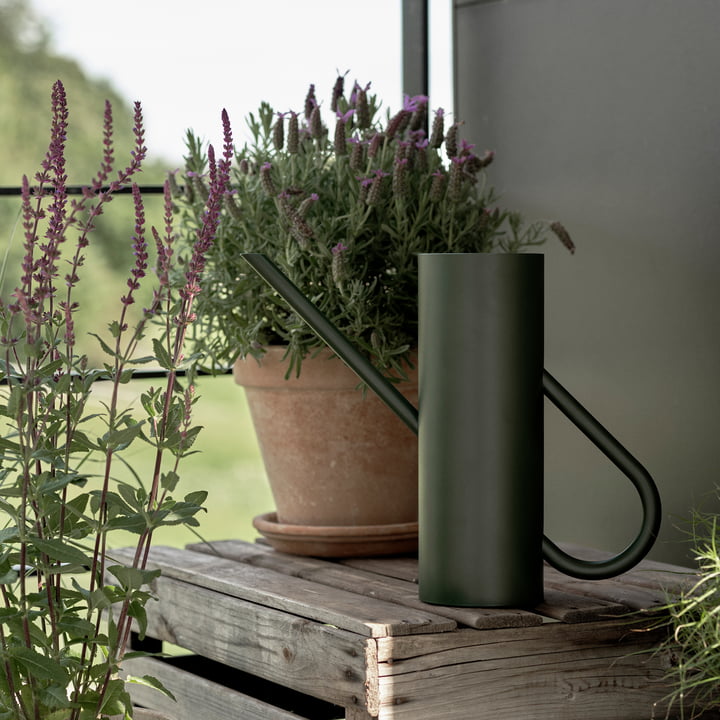 Bloom Arrosoir 2 l dans pine de Stelton