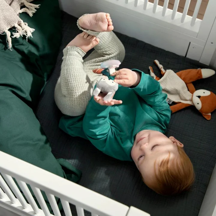 Hochet d'activité de Sebra