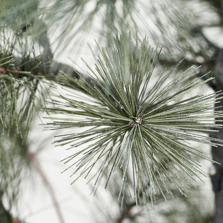 House Doctor Peuce Sapin de Noël avec éclairage LED Connox