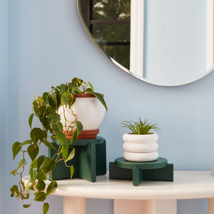 Set de plates-formes pour plantes de Areaware