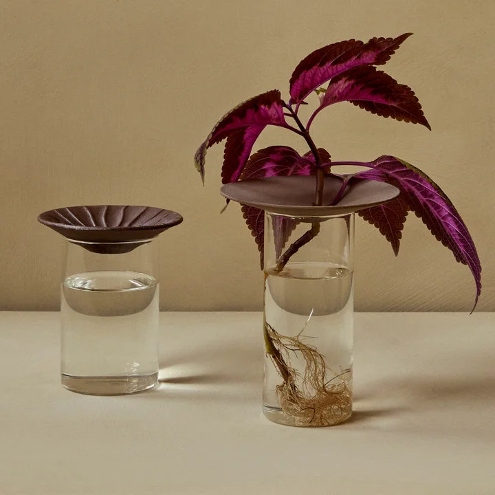 Cresco Propagation Vase (set de 2), brun / beige de Audo