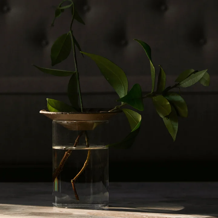 Cresco Propagation Vase (set de 2), brun / beige de Audo