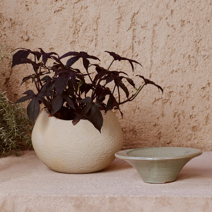 Plantas Pot à plantes, ivoire, H 17 cm de Audo