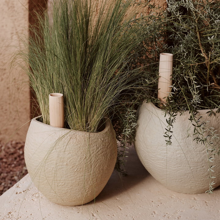 Pots de plantes Plantas, Hydrous Tige d'arrosage de Audo