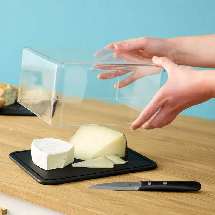 Contain-It Boîte à fromage de Rig-Tig by Stelton dans la couleur noir