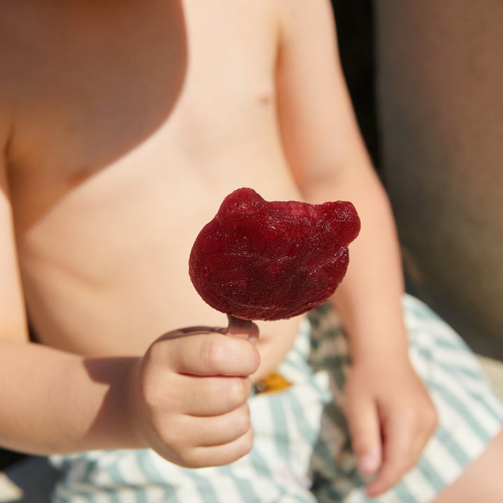 Manfred Moule à glace de LIEWOOD