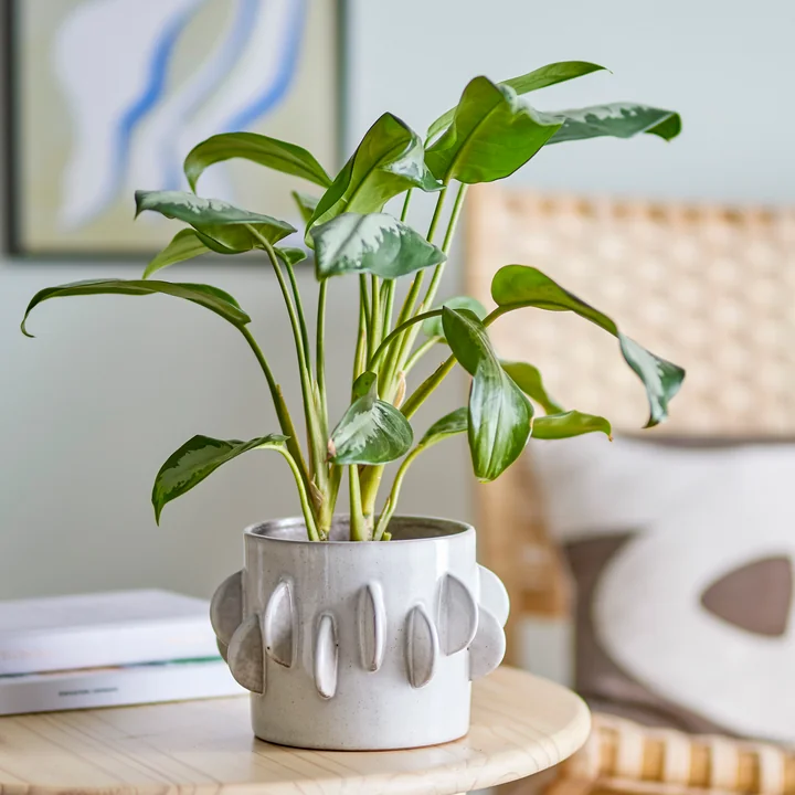 Bloomingville - Roza Pot de fleurs