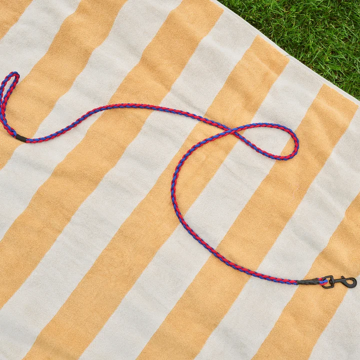 HAY - Dogs Laisse de chien, tressée, rouge / bleu