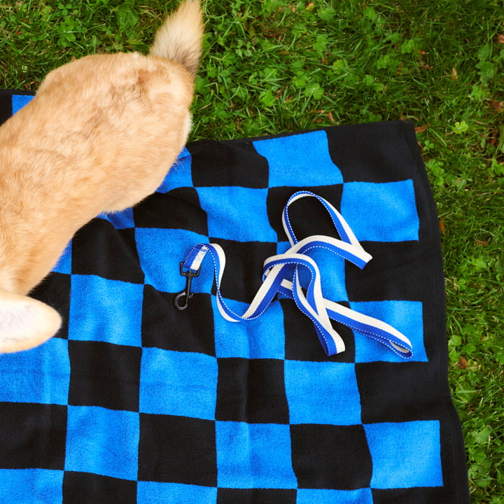 Hay - Dogs Laisse pour chien, M/L bleu / blanc cassé