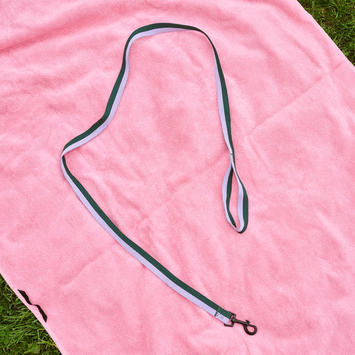 Hay - Dogs Laisse pour chien, M/L lavande / vert
