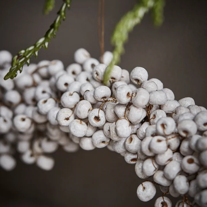 Couronne d'hiver de House Doctor