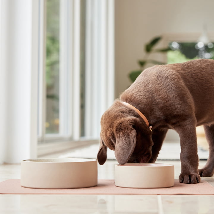 OYOY ZOO - Coquille pour chien Sia