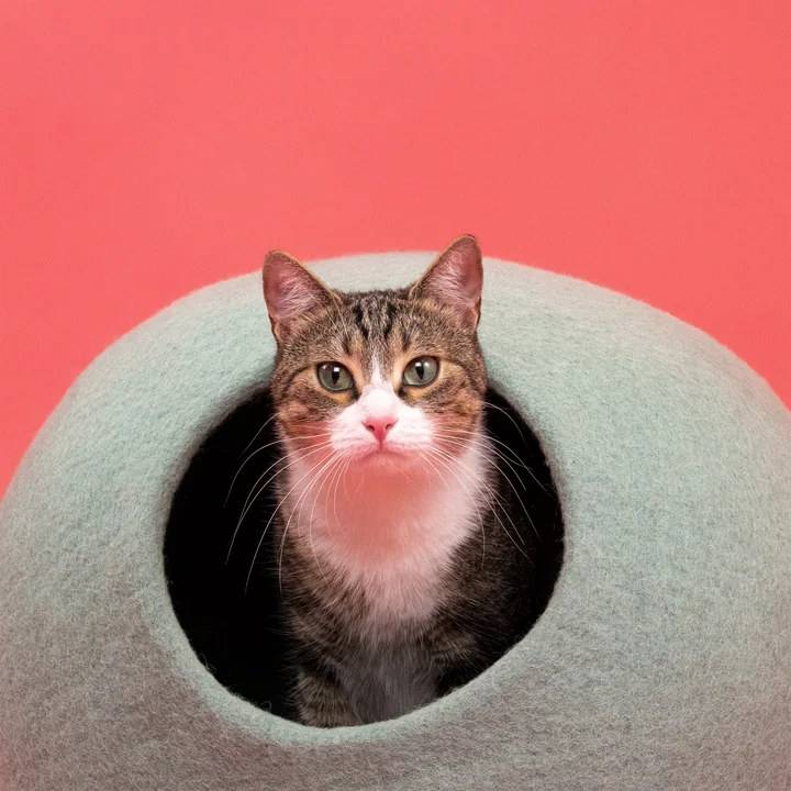 Fine grotte pour chats, turquoise de myfelt