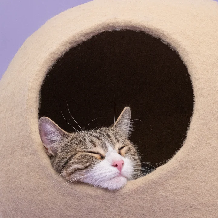 Levi Cave pour chats, beige de myfelt