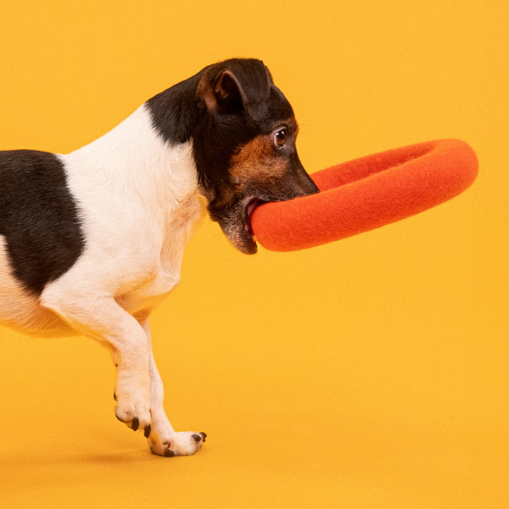 Mats Jouet pour chiens, anneau, orange rouge de myfelt