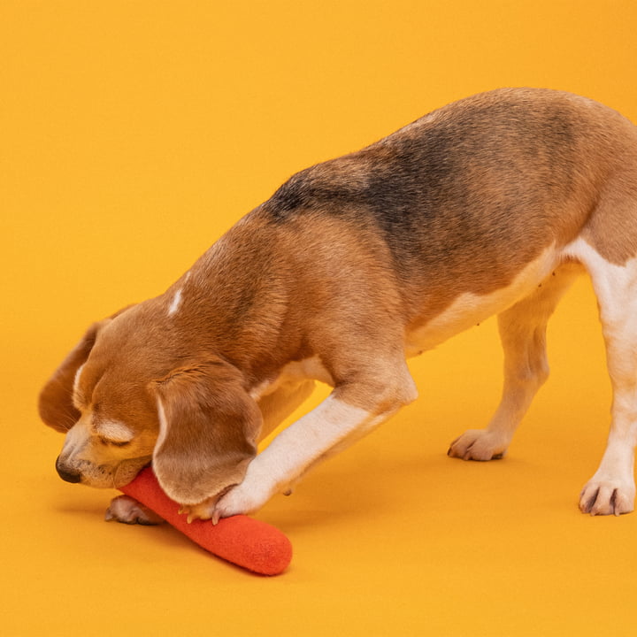 Mats Jouet pour chiens, bâton, orange rouge de myfelt