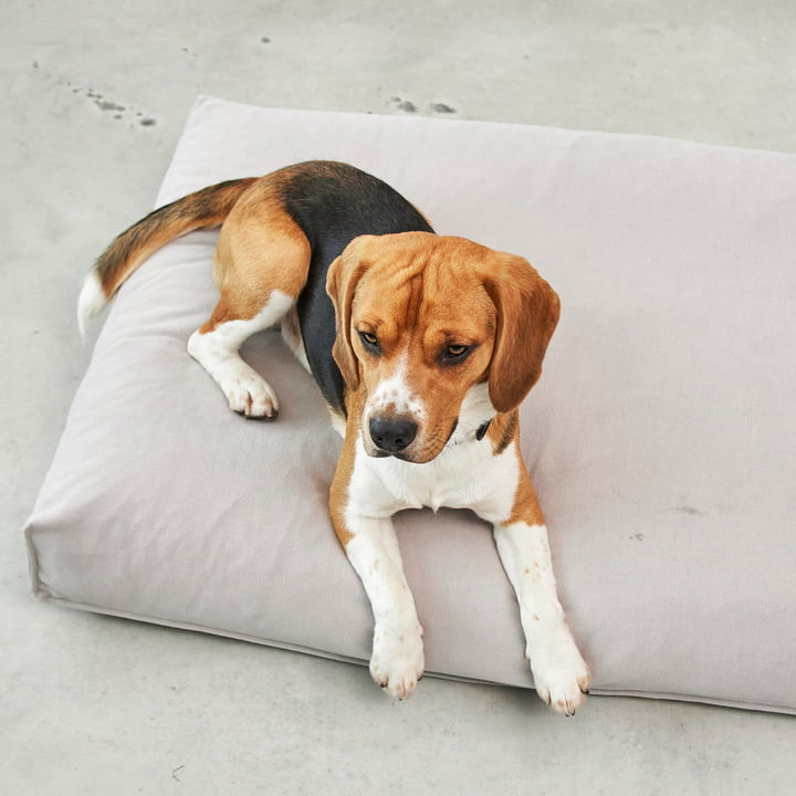 Comodo Coussin pour chien de MiaCara