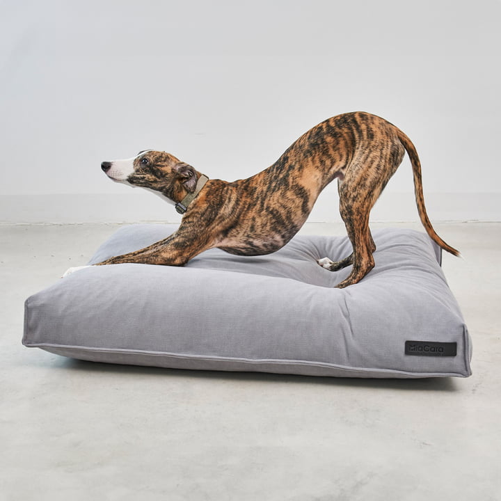 Comodo Coussin pour chien de MiaCara