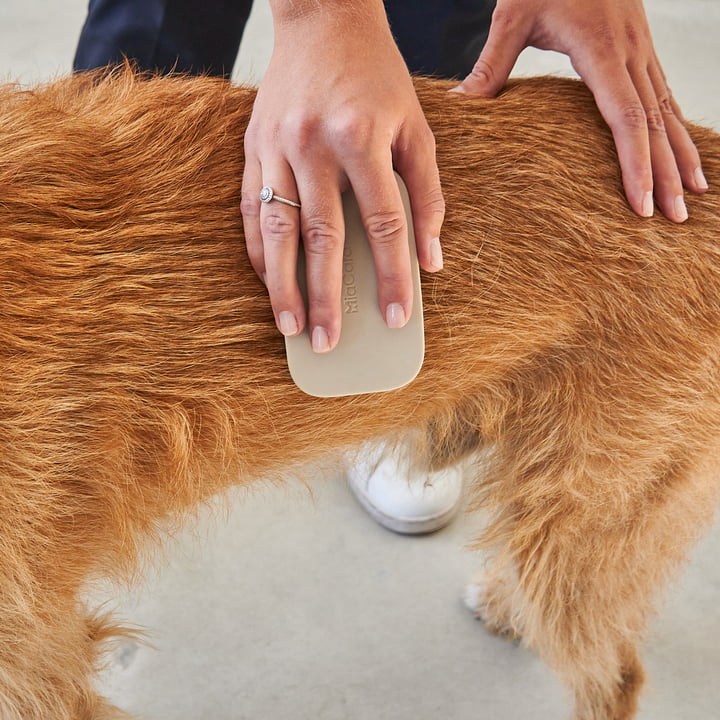 Pelo Brosse pour chiens de MiaCara