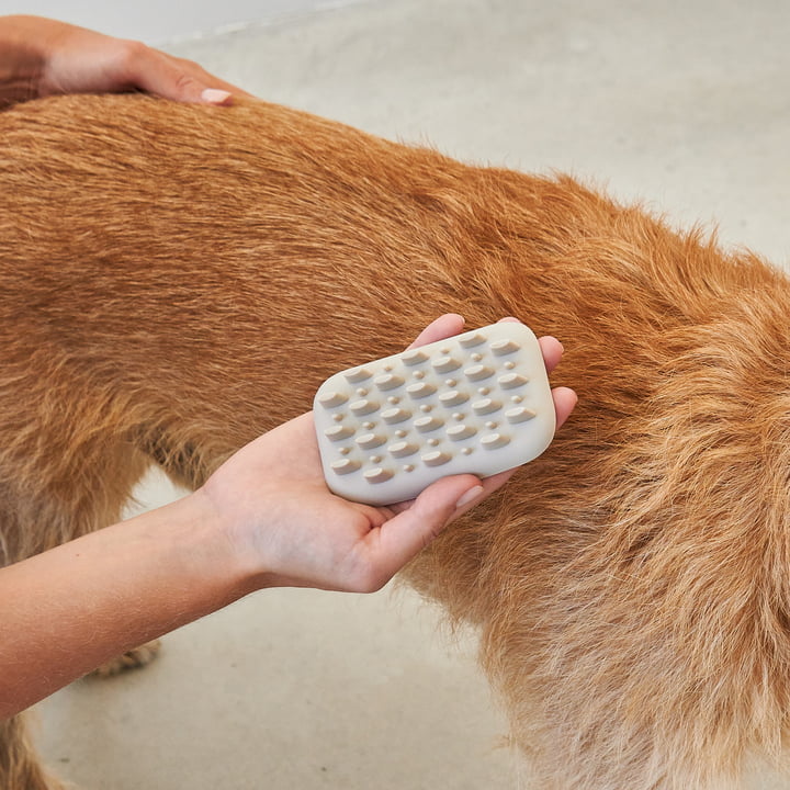 Pelo Brosse pour chiens de MiaCara