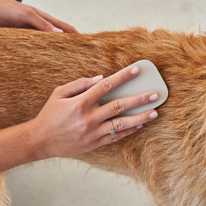 Pelo Brosse pour chiens de MiaCara