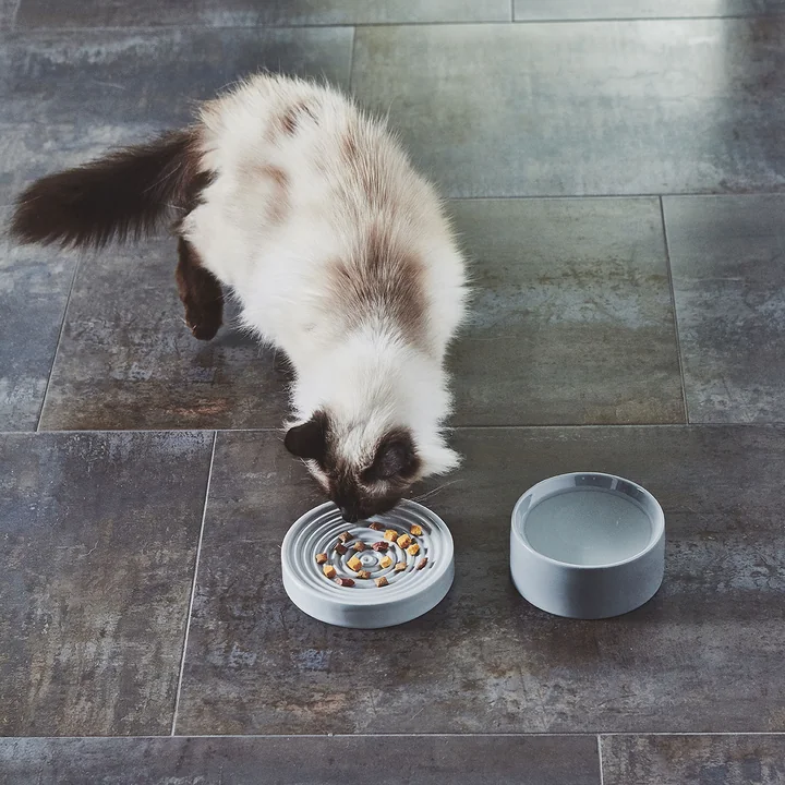 Piatto et Fresco gamelle pour chat S de MiaCara