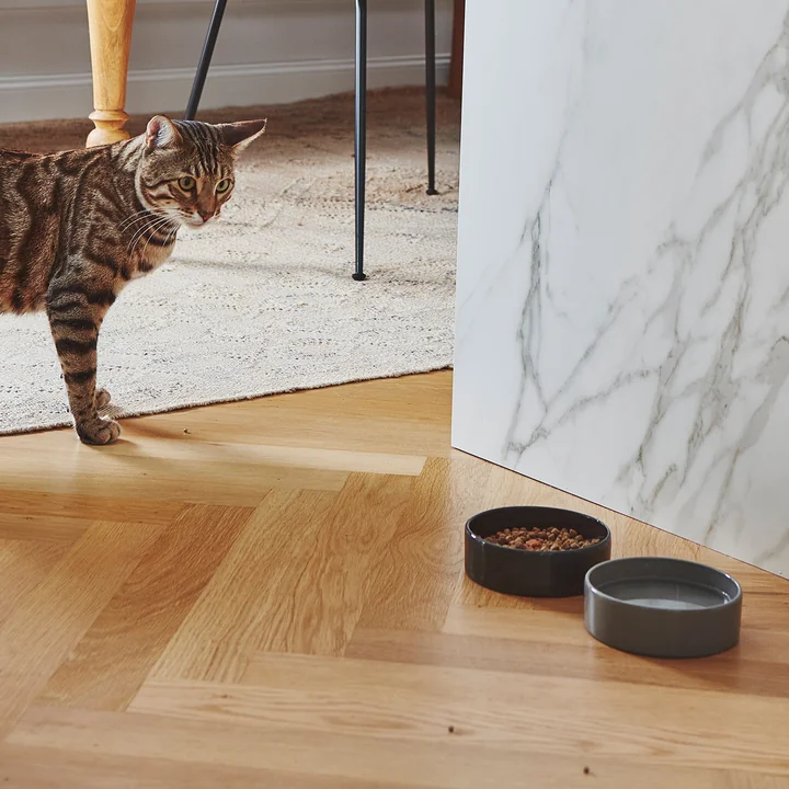 Scodella gamelle pour chat de MiaCara