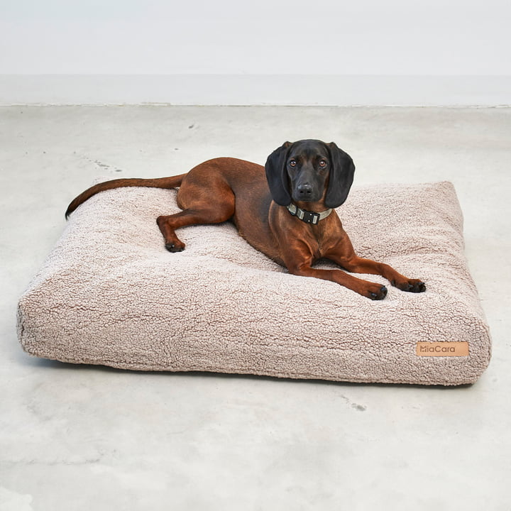 Senso Coussin pour chien de MiaCara