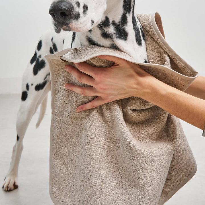 MiaCara - Secco Linge de séchage en éponge pour chiens