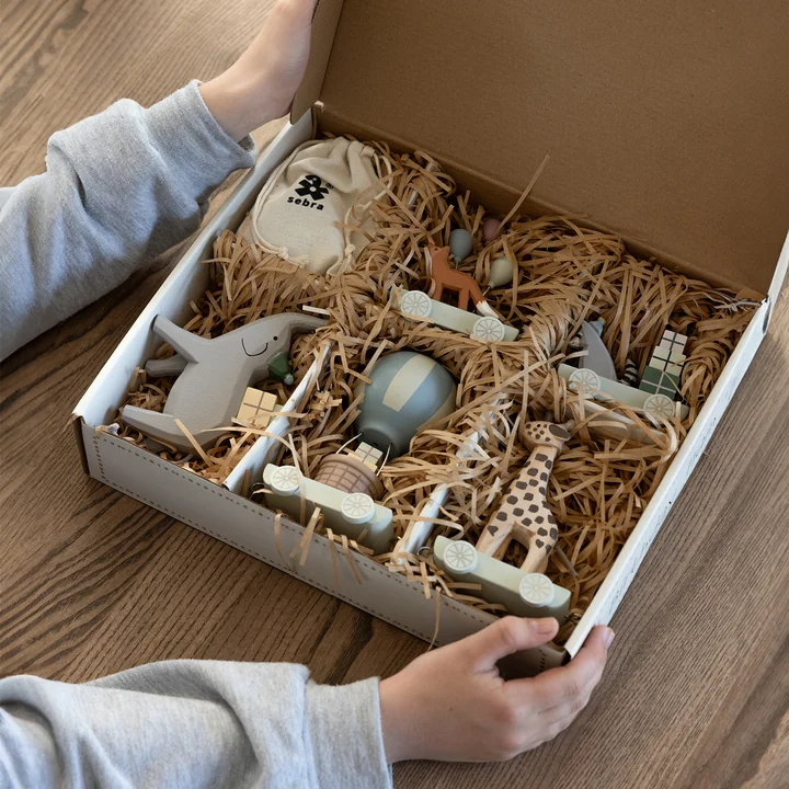 Train d'anniversaire, World of Sebra de Sebra