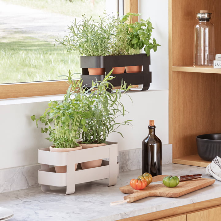 Herb Organiser avec arrosage automatique, sable et noir de Eva Solo