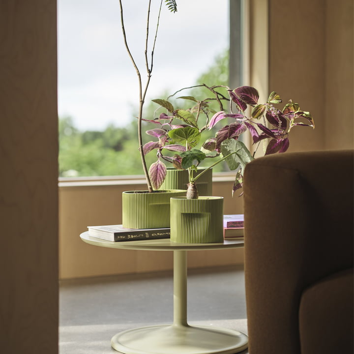 Muuto - Ridge Pot de fleurs