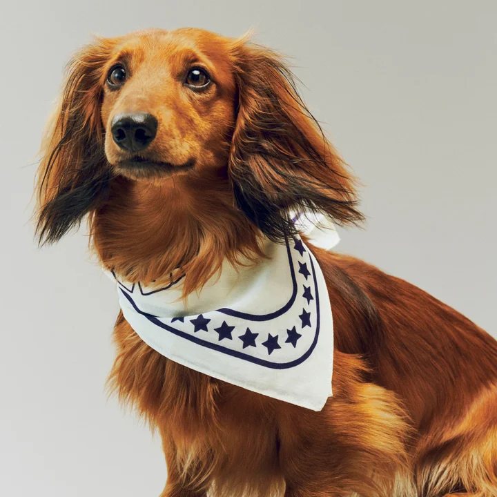 HAY - Dogs Serviette pour chien, recyclée, 55 x 55 cm, blanc cassé / bleu