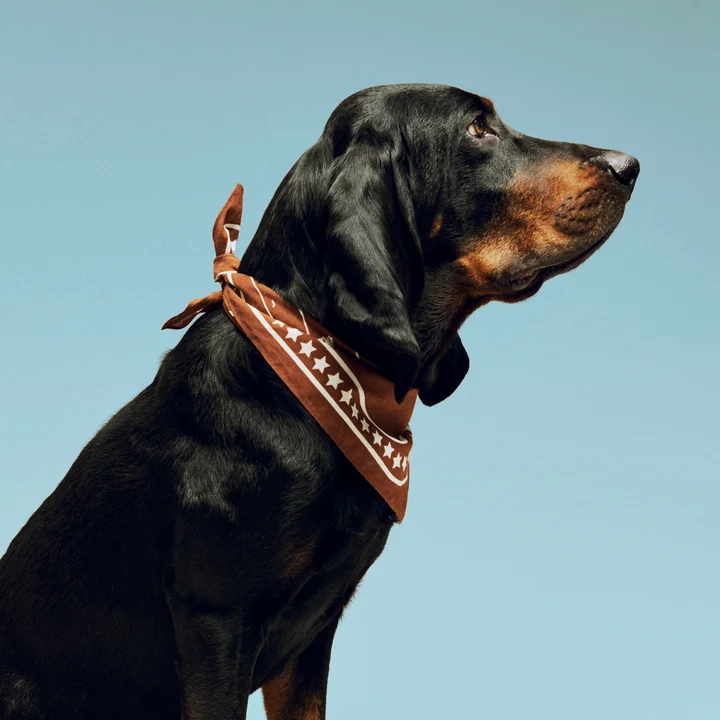 HAY - Dogs Serviette pour chien, recyclée, 55 x 55 cm, marron