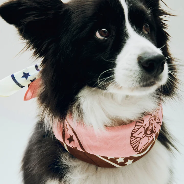 HAY - Dogs Serviette pour chien, recyclée, 55 x 55 cm, rose