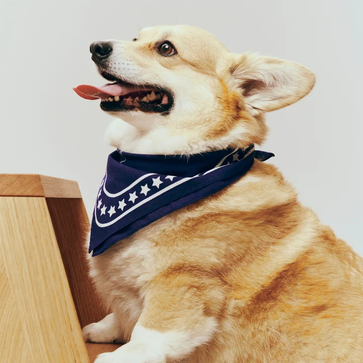 HAY - Dogs Serviette pour chien, recyclée, 55 x 55 cm, bleu foncé