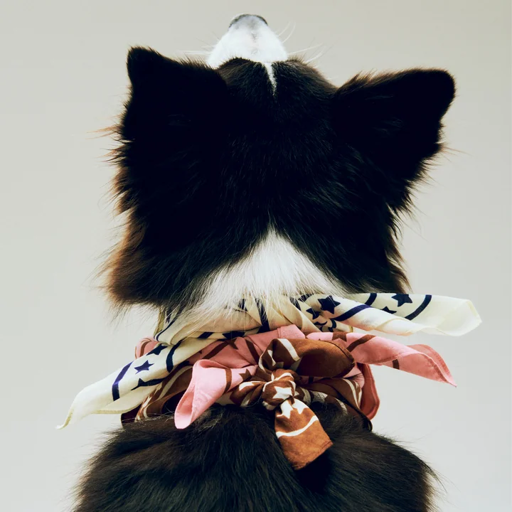 HAY - Dogs Serviette pour chien, recyclée, 55 x 55 cm