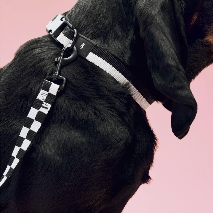 HAY - Dogs Collier de chien, M/L, laisse de chien M /L Check, noir / blanc